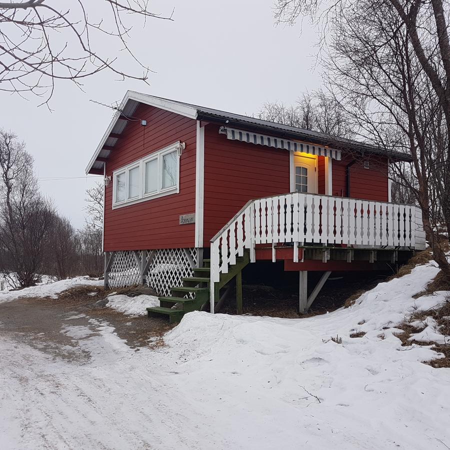 Camp Saltstraumen-Elvegard Hotel Bodø Kültér fotó