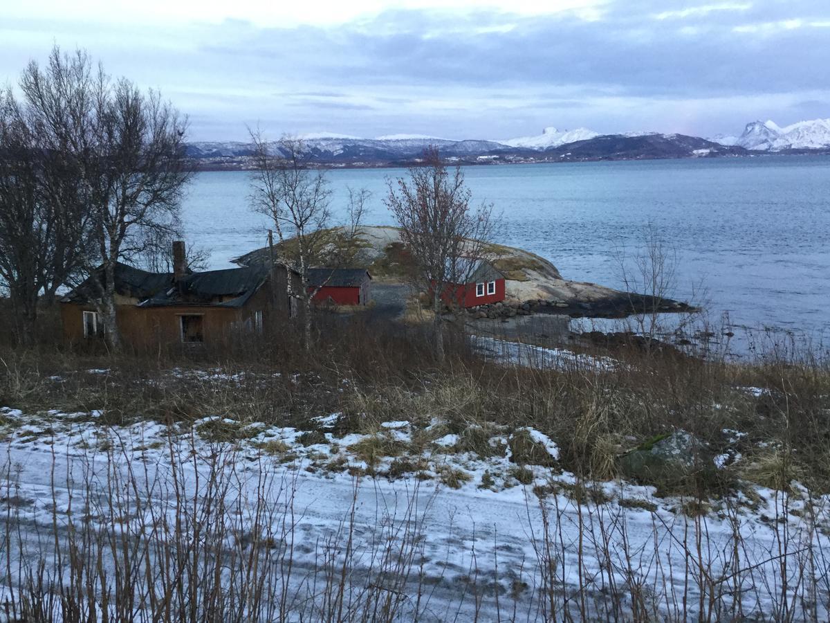 Camp Saltstraumen-Elvegard Hotel Bodø Kültér fotó