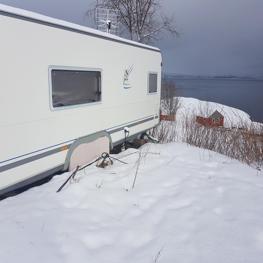 Camp Saltstraumen-Elvegard Hotel Bodø Kültér fotó