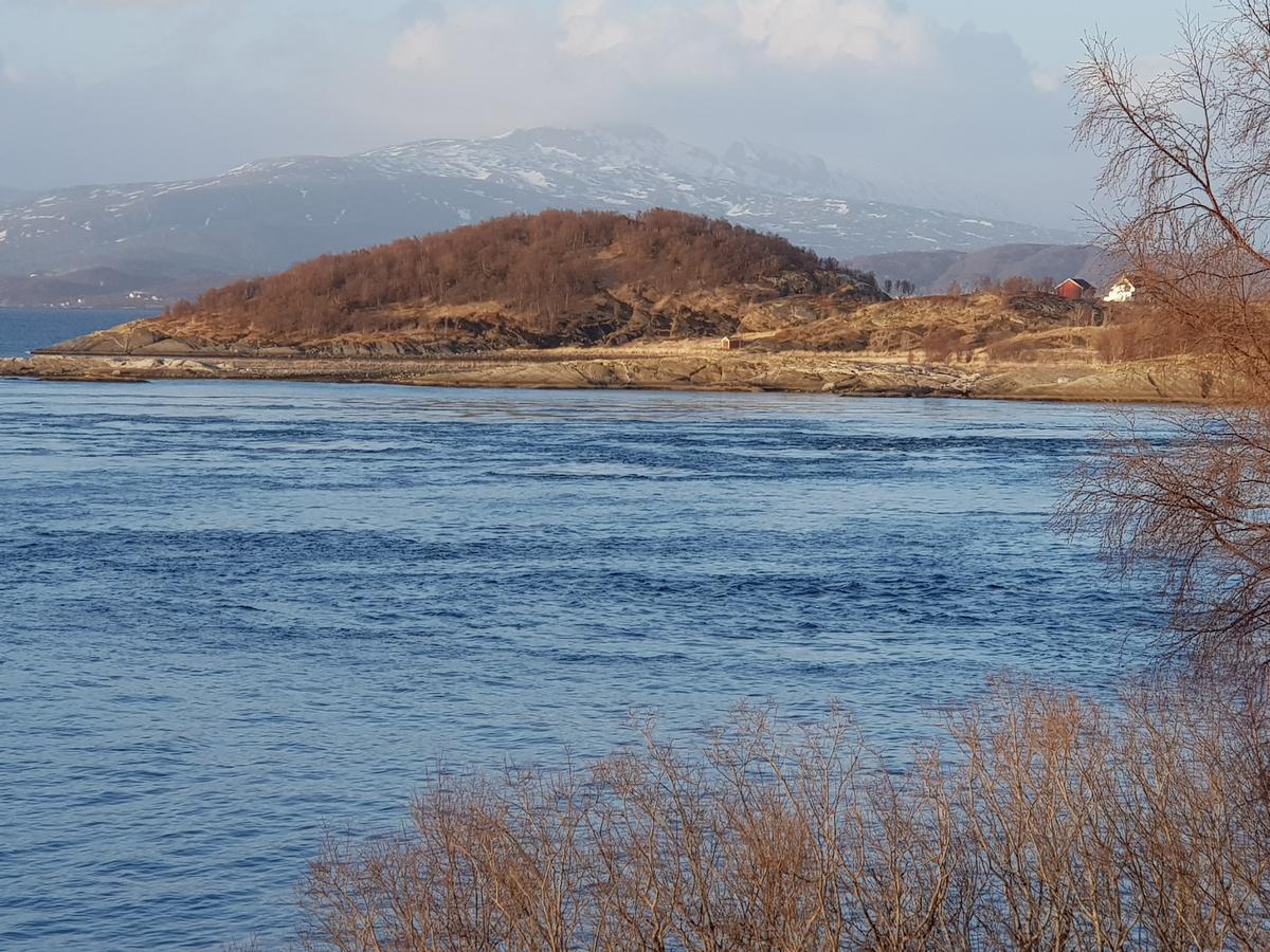 Camp Saltstraumen-Elvegard Hotel Bodø Kültér fotó