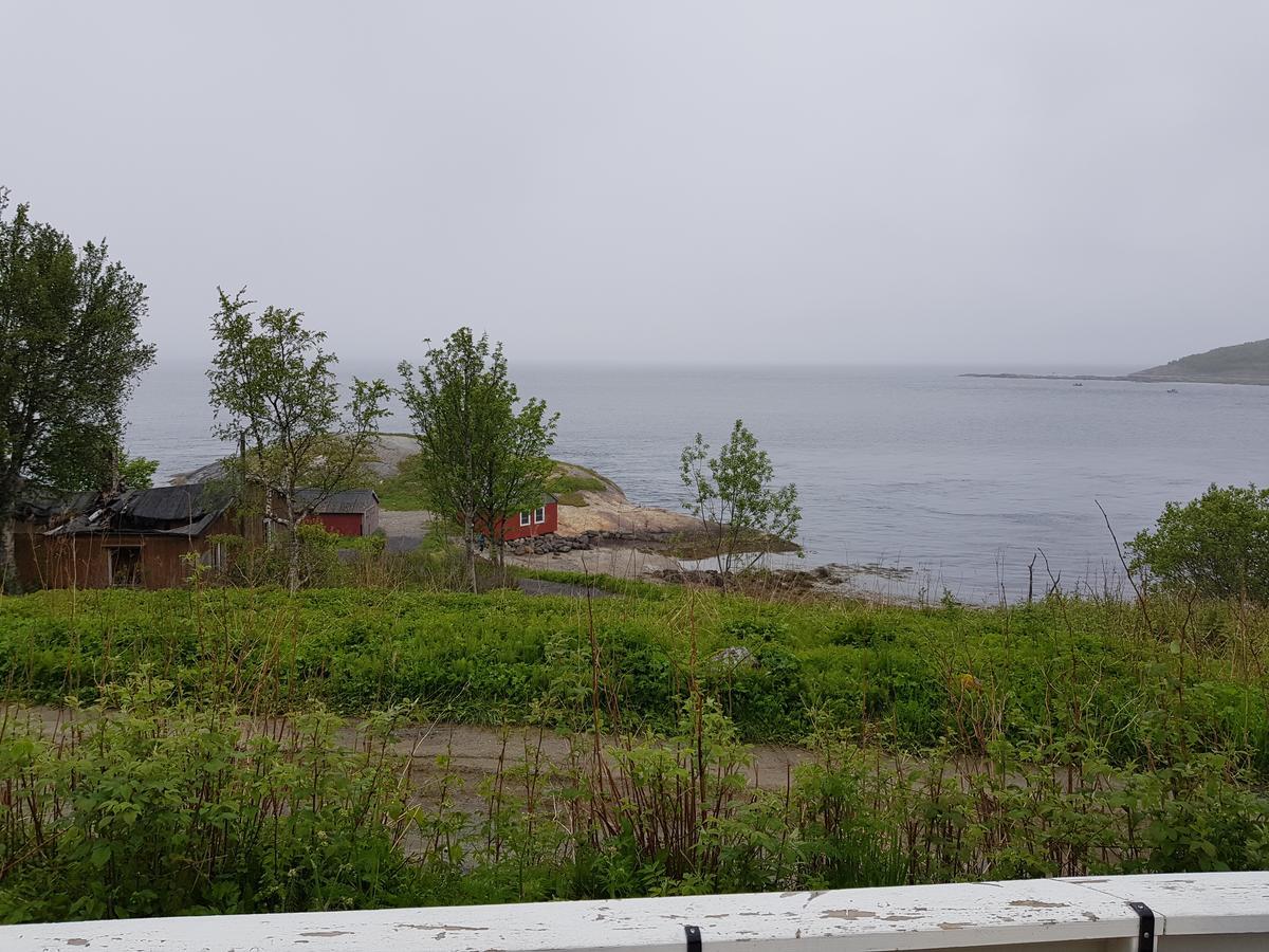 Camp Saltstraumen-Elvegard Hotel Bodø Kültér fotó
